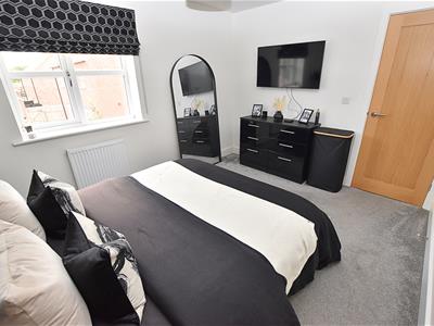 Picture 15